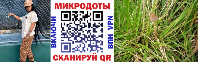 даркнет сайт KRAKEN онион Галлюциногенные грибы Psilocybine cubensis Белая Холуница