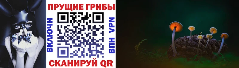 Псилоцибиновые грибы Magic Shrooms Белая Холуница